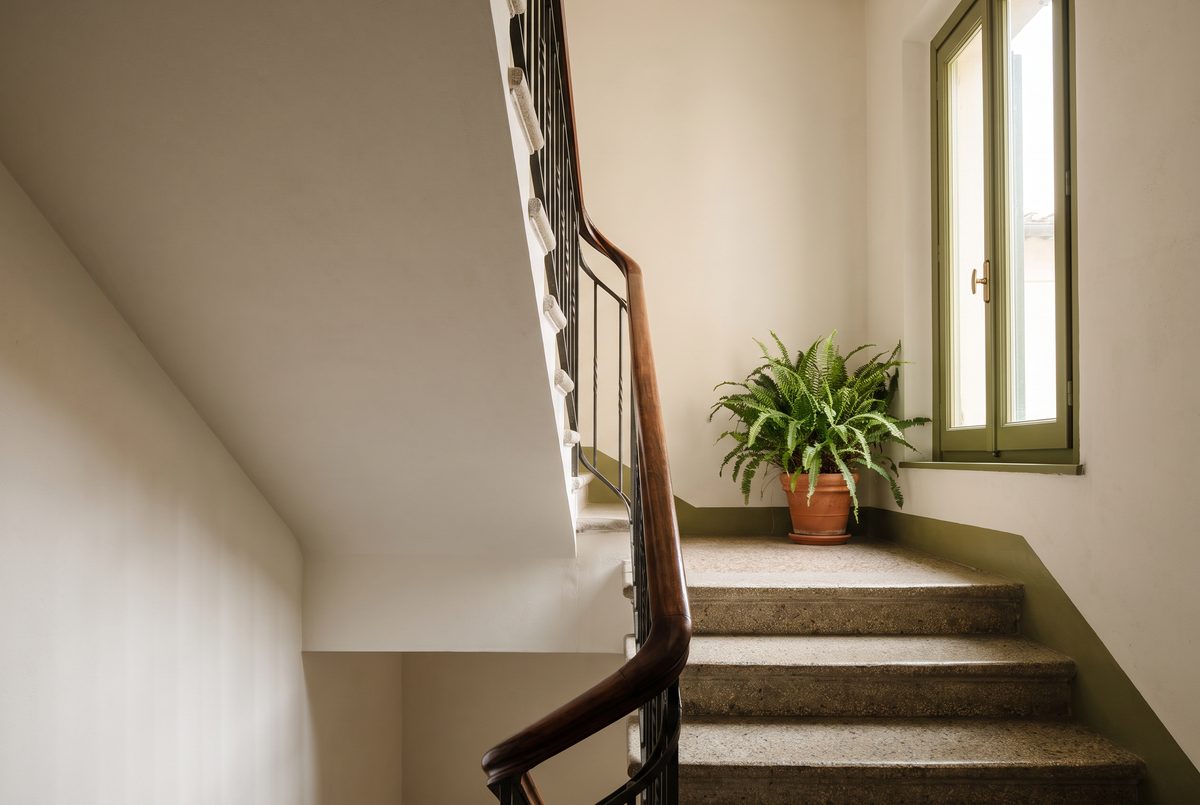 Scala comune di un vecchio condominio con gradini in graniglia, ringhiera in ferro con corrimano di legno e una felce in vaso sul pianerottolo